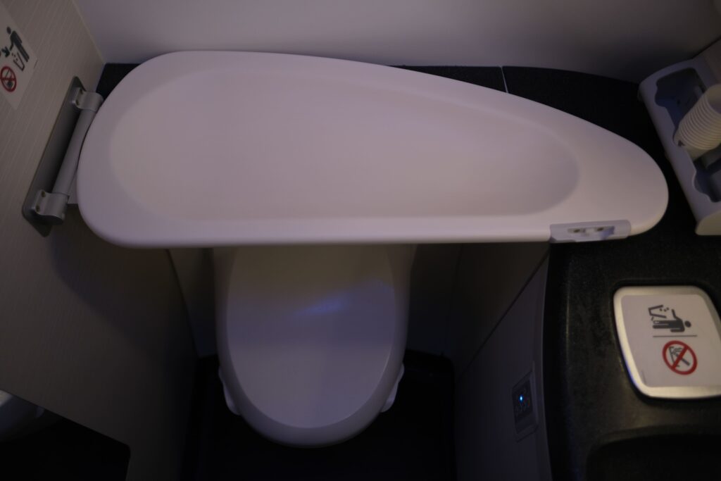 A folding table which overlaps with the toilet bowl if opened. The larger bathroom also has this.