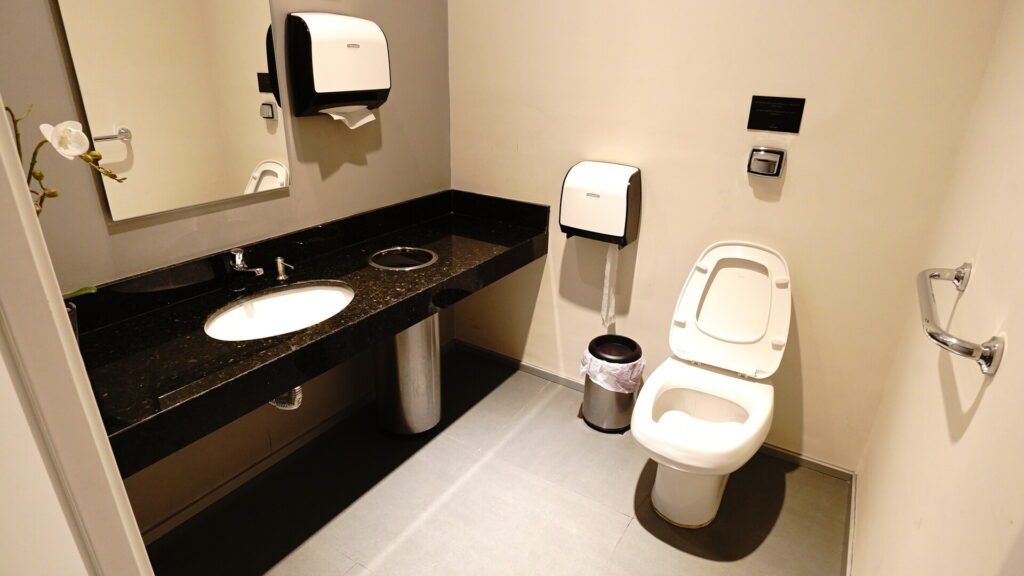 Large accessible bathroom interior