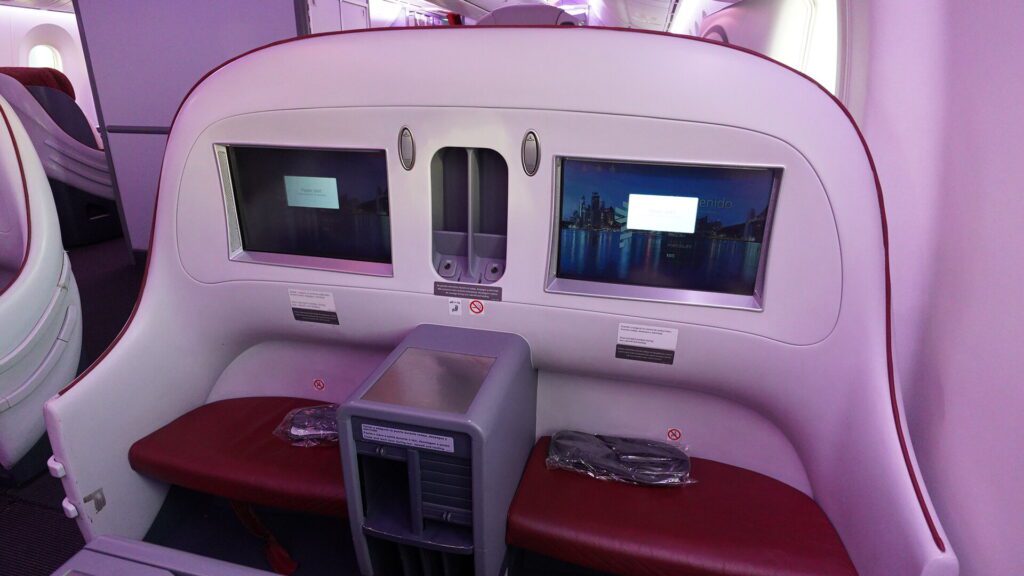 IFE screens and seat divider