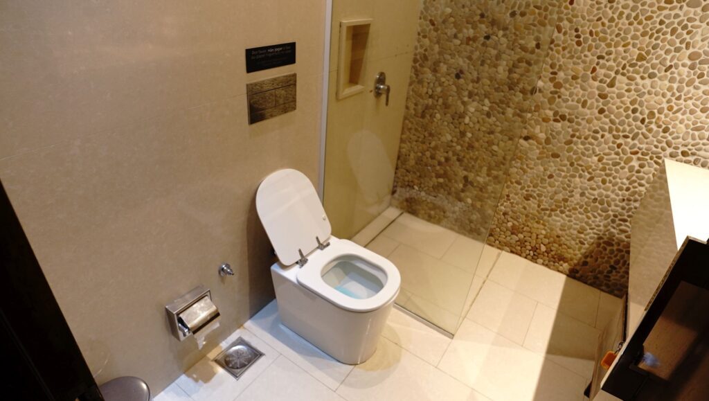 Toilet and shower cubicle