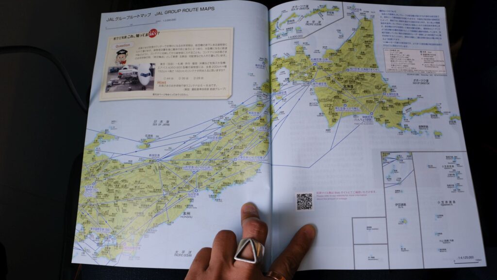 Japan Airlines Route Map