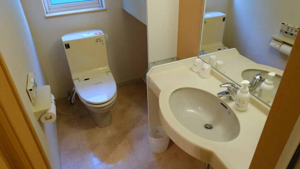 The hotel bathroom with the toilet which does not have an automatic flush