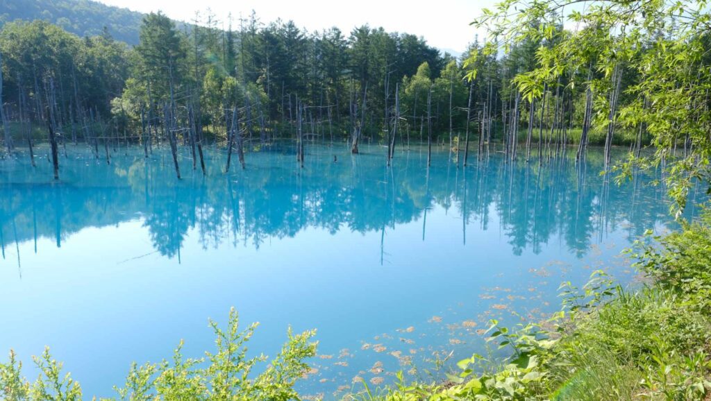 The beautiful and unique Blue Pond is very close by