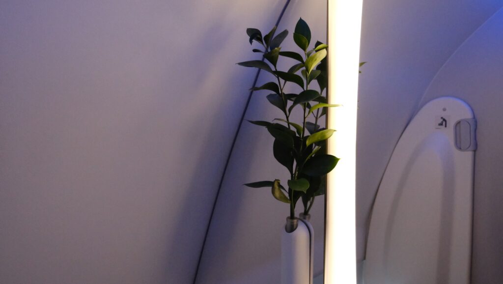 The small live plant display in every Vietnam Airlines business class bathroom, and folding table